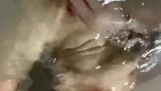 AV东洋无码-【网曝门】南京交通学校大二女运管4P迷奸事件（刘梦亿）